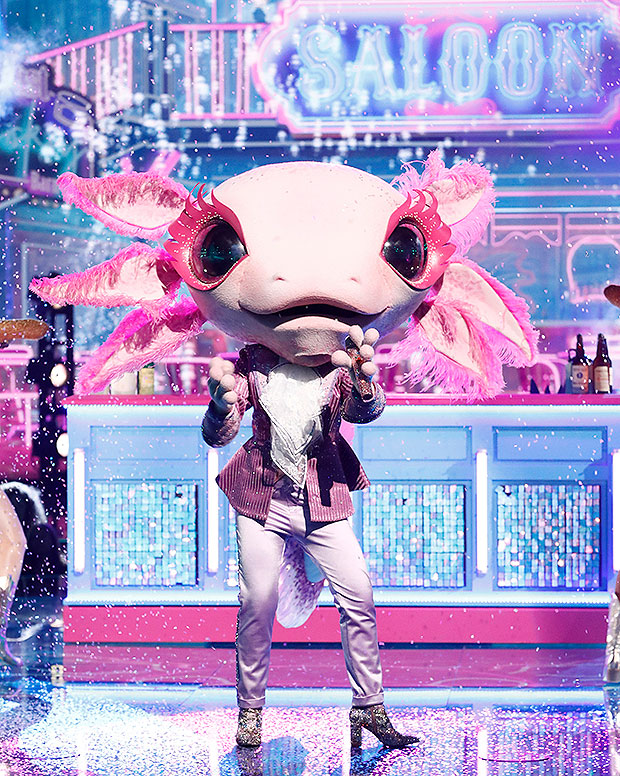 Axolotl