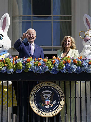 jill joe biden
