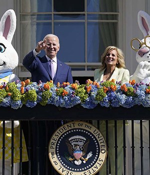 jill joe biden