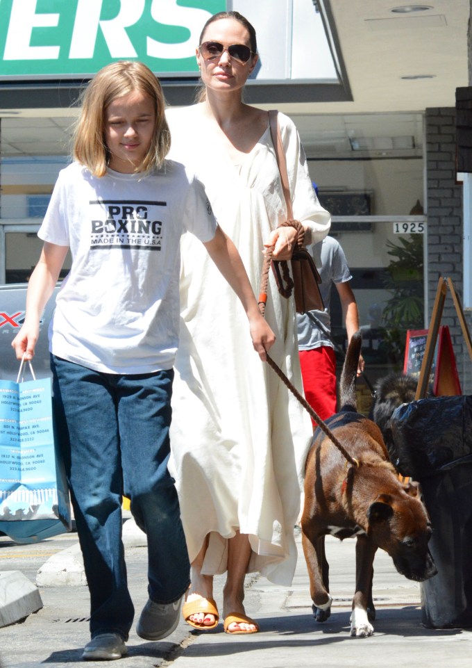 Angelina Jolie & Vivienne Jolie-Pitt walking their dog