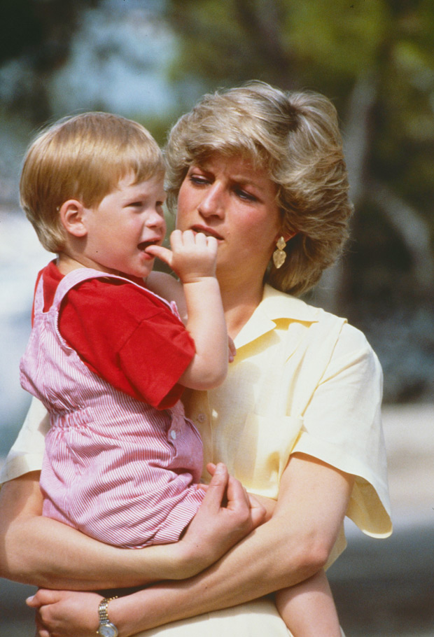 princess diana and harry