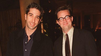 David Schwimmer Matthew Perry