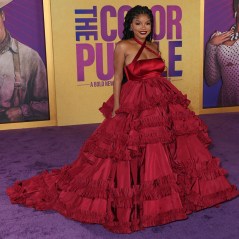 Halle Bailey
'The Color Purple' World Premiere, Los Angeles, California, USA - 6 Dec 2023