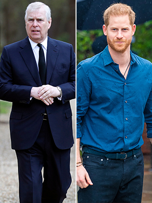 Prince Harry and Prince Andrew Barred From Counsellor of State Roles