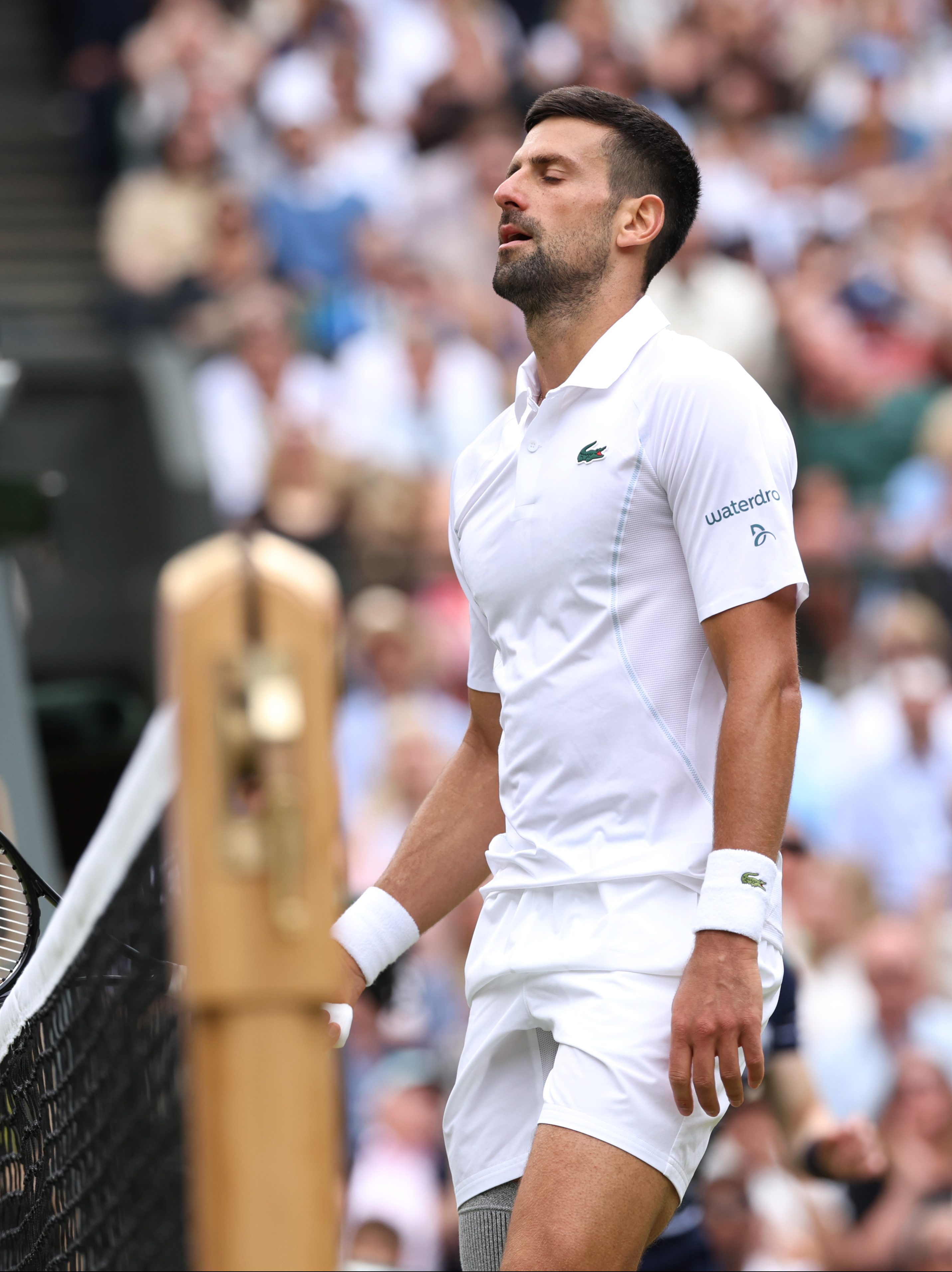 LONDON, ENGLAND - JULY 14: Novak Djokovic of Serbia reacts at the net as he plays against Carlos Alcaraz of Spain in the Gentlemen's Singles Final during day fourteen of The Championships Wimbledon 2024 at All England Lawn Tennis and Croquet Club on July 14, 2024 in London, England. (Photo by Clive Brunskill/Getty Images)