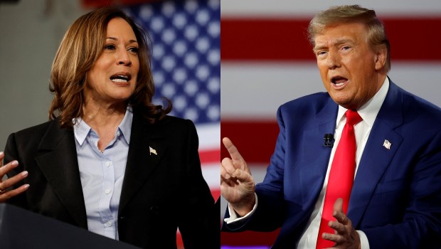 kamala harris donald trump side by side