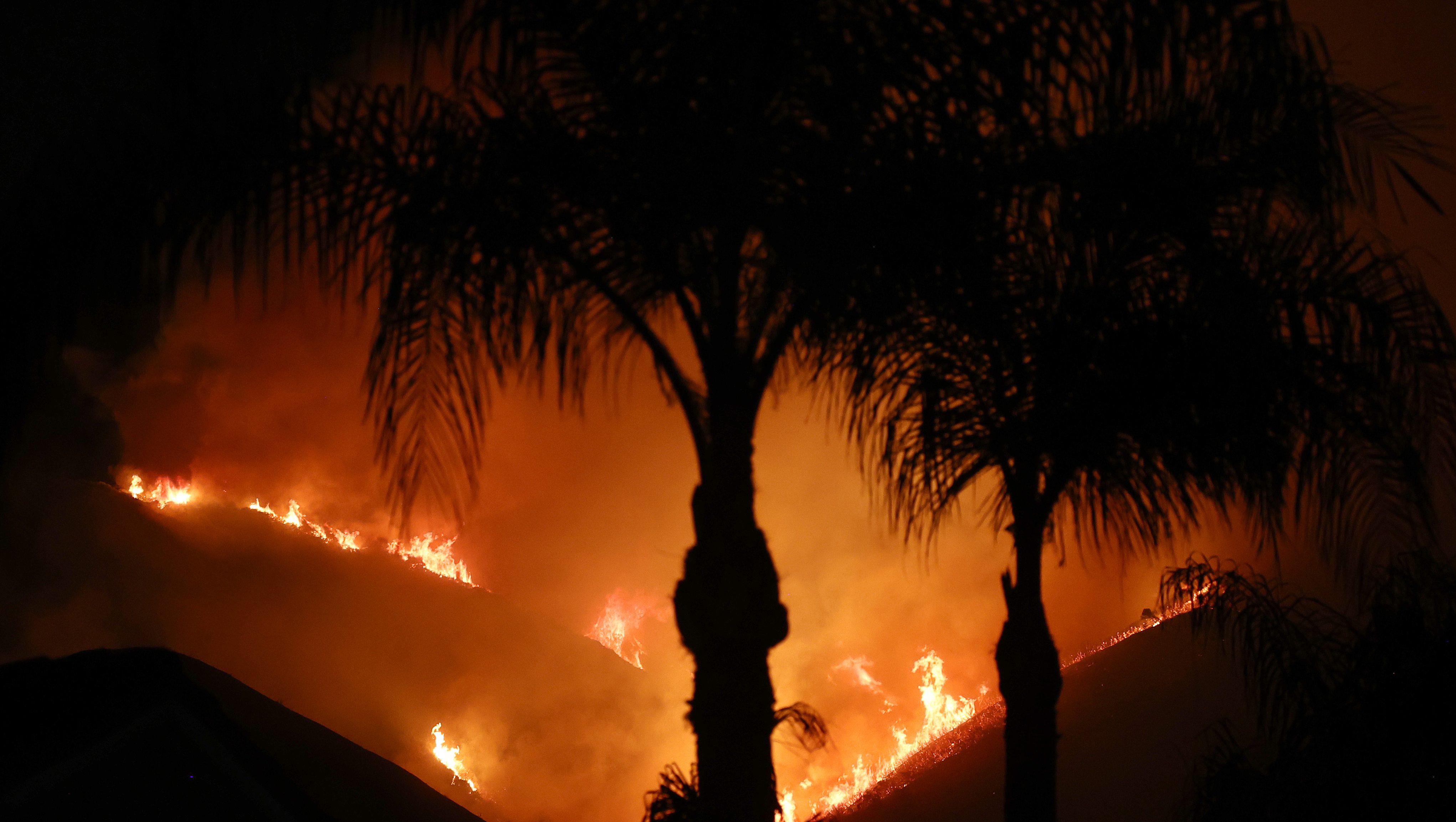 The Airport Fire burns on a hill beyond palm trees on September 9, 2024 in Trabuco Canyon, California.