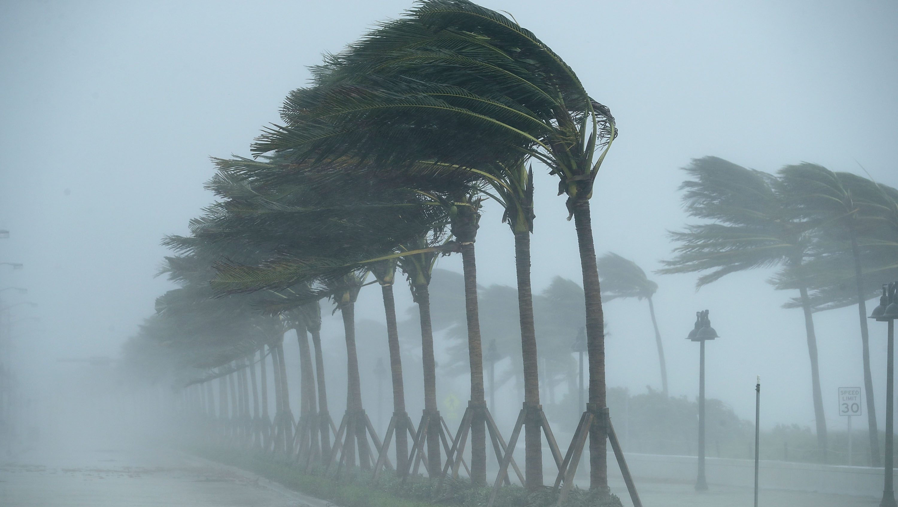 FORT LAUDERDALE, FL - SEPTEMBER 10: Trees bend in the tropical storm wind along North Fort Lauderdale Beach Boulevard as Hurricane Irma hits the southern part of the state September 10, 2017 in Fort Lauderdale, Florida. The powerful hurricane made landfall in the United States in the Florida Keys at 9:10 a.m. after raking across the north coast of Cuba. (Photo by Chip Somodevilla/Getty Images)