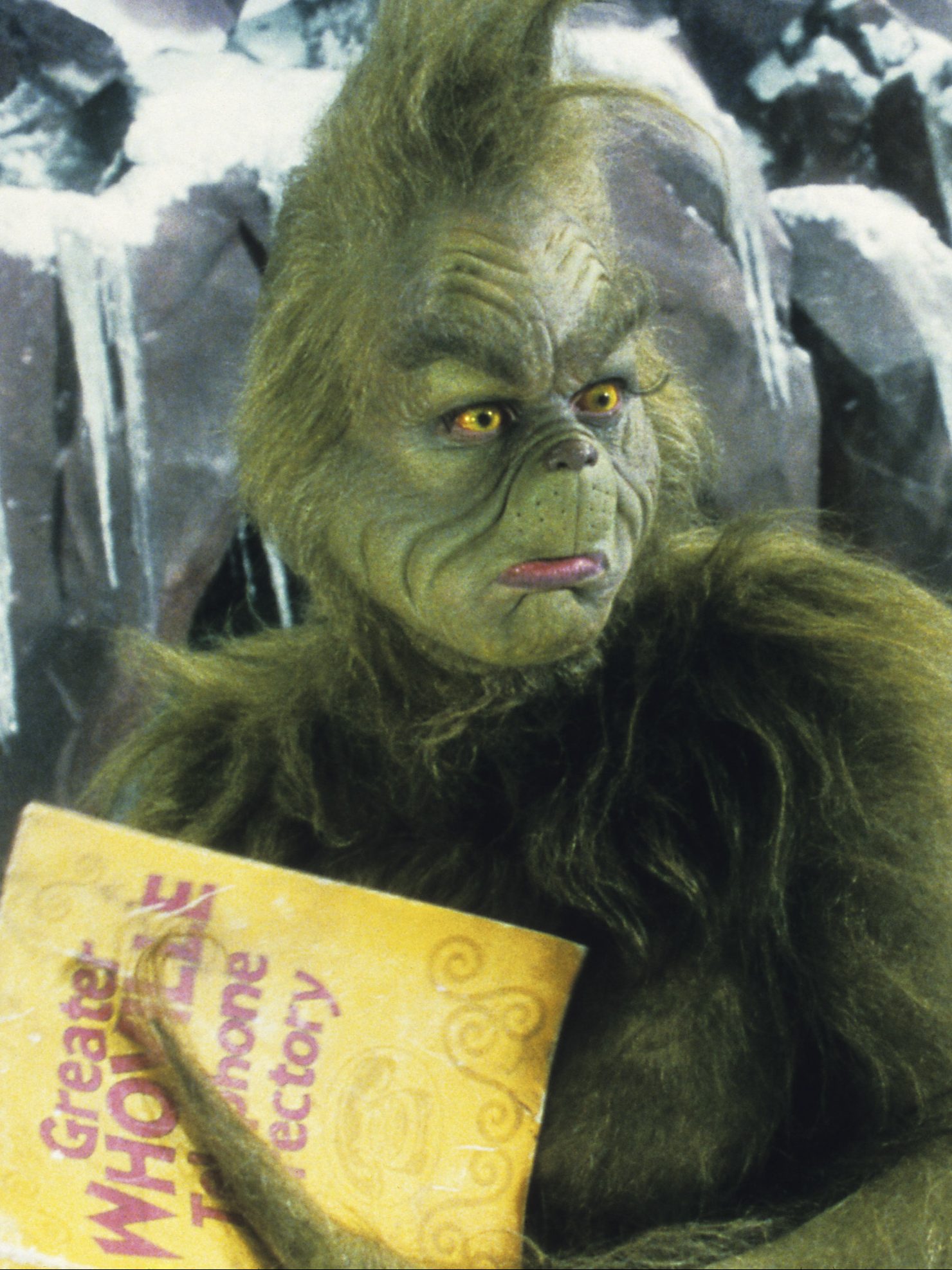 The Grinch in "Dr. Seuss' How the Grinch Stole Christmas"