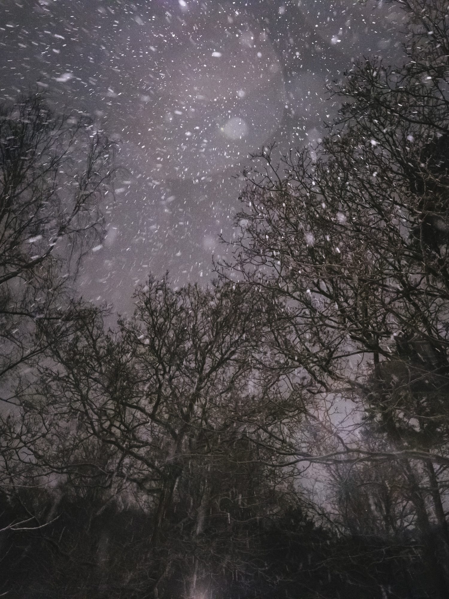 JohnŽr BildbyrŒ AB
+46 8 644 83 30
www.johner.se
info@johner.se
sales@johner.se