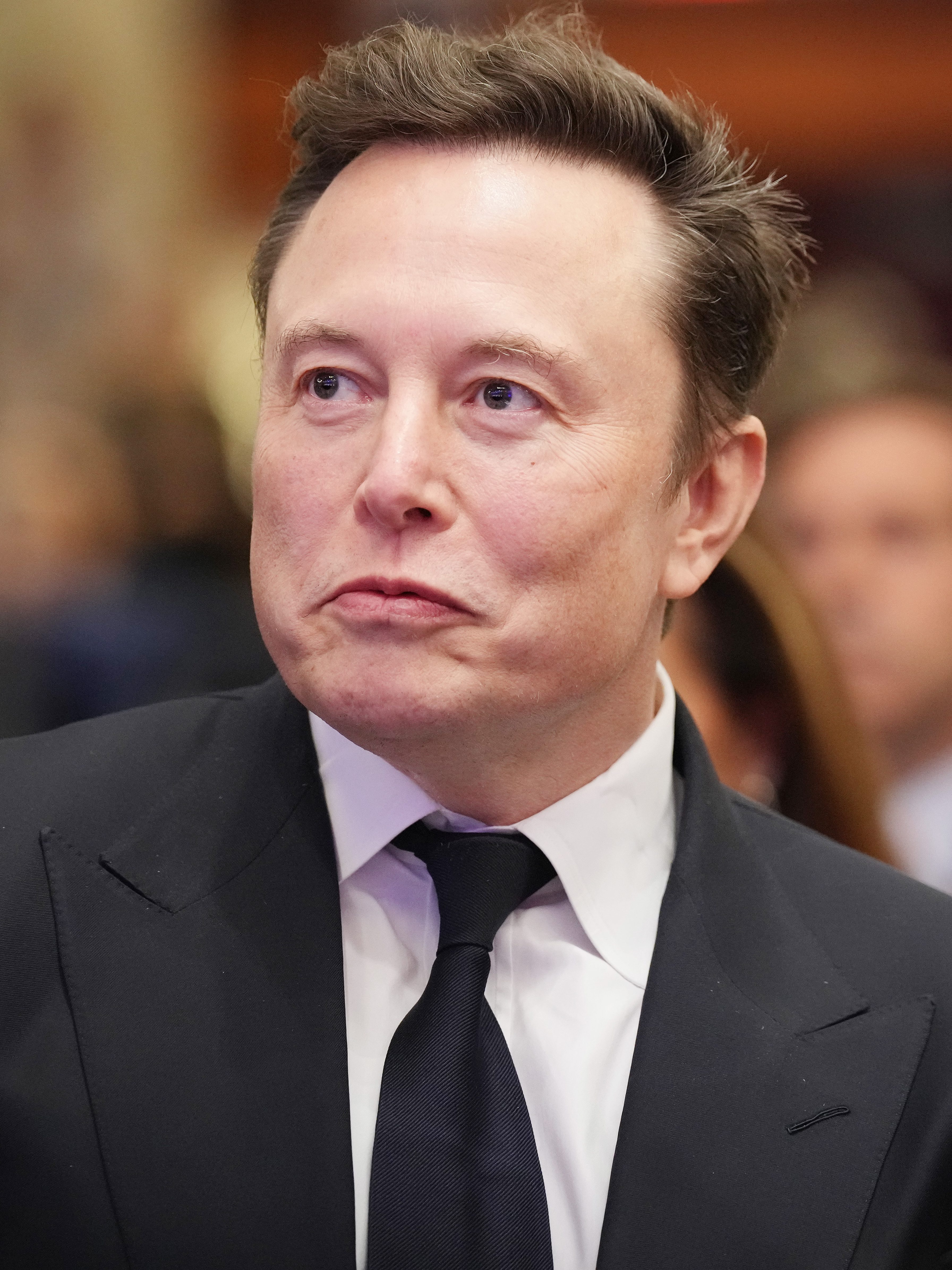 Is Elon Musk Buying TikTok? Update After the App Was Banned